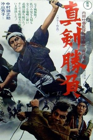 Miyamoto Musashi VI's poster