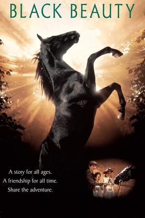 Black Beauty's poster