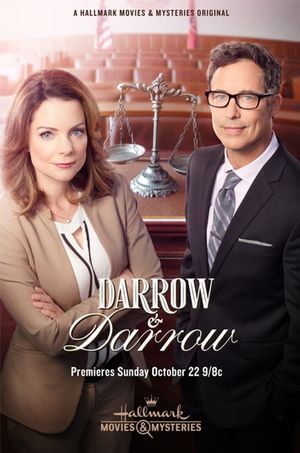 Darrow & Darrow's poster