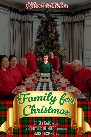 Family for Christmas's poster