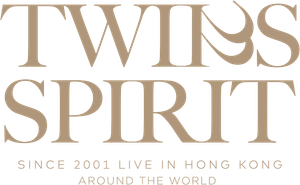 Twins SPIRIT Since 2001 Live 2024's poster