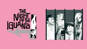 The Night of the Iguana's poster