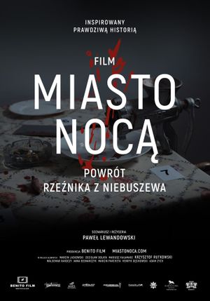 Miasto nocą's poster
