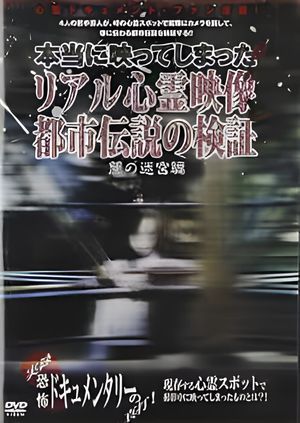 Investigation of Real Supernatural Footage and Urban Legends: Labyrinth of Darkness Edition's poster