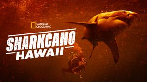 Sharkcano: Hawaii's poster