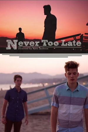 Never Too Late's poster