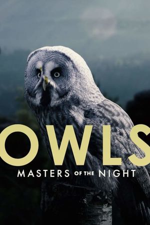 Owls: Masters of the Night's poster