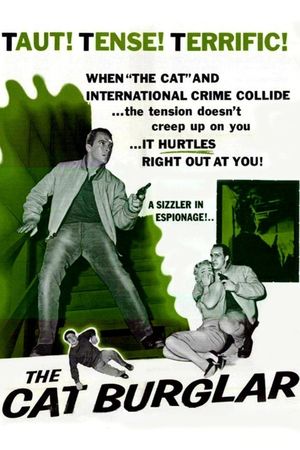 The Cat Burglar's poster