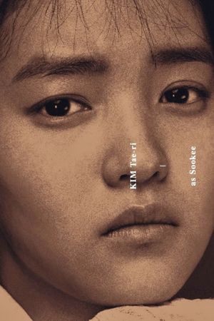 The Handmaiden's poster