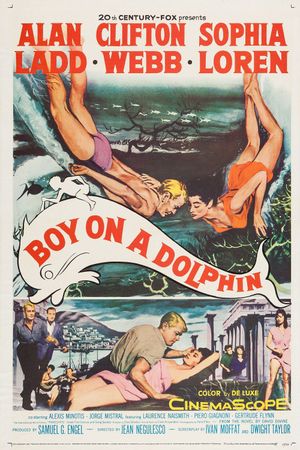Boy on a Dolphin's poster
