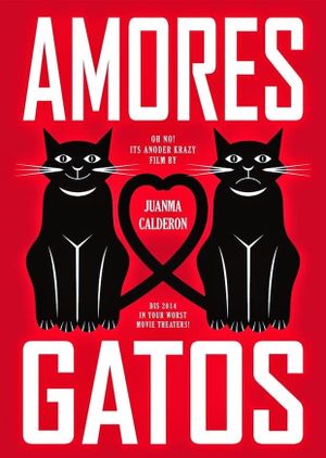 Amores Gatos's poster