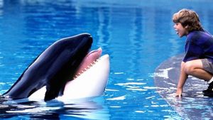 Free Willy's poster