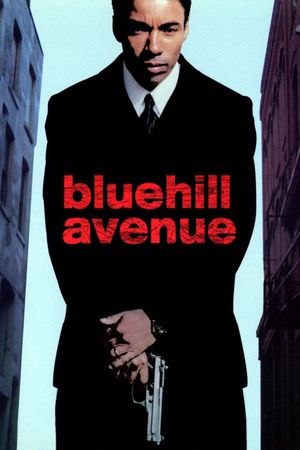 Blue Hill Avenue's poster