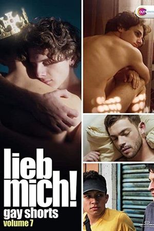 LIEB MICH! - Gay Shorts Volume 7's poster