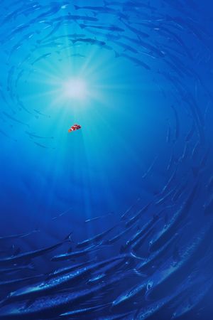 Finding Nemo's poster
