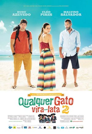 Qualquer Gato Vira-Lata 2's poster