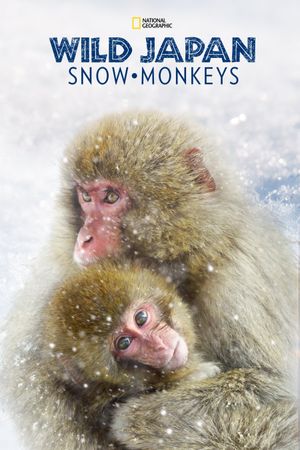 Wild Japan: Snow Monkeys's poster