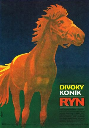 Divoký koník Ryn's poster