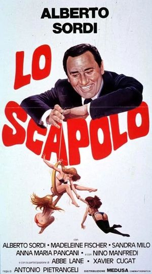 The Bachelor's poster
