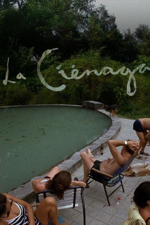 The Swamp's poster