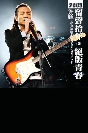 许巍 留声十年 绝版青春 北京演唱会's poster