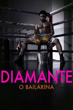 The Ballerina's poster
