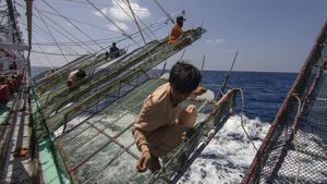 Squid Jigging Fishing Boat's poster