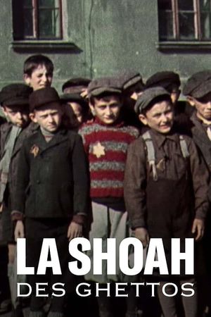 La Shoah des ghettos's poster image