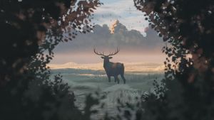 Under the Thicket's poster