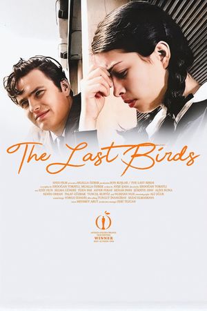 The Last Birds's poster