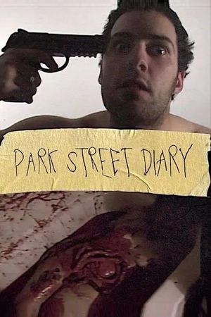 Park Street Diary's poster