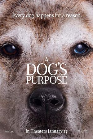 A Dog's Purpose's poster