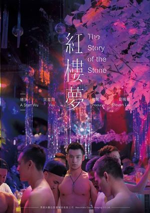 The Story of the Stone's poster