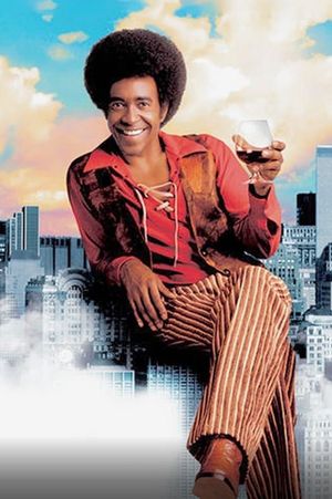 The Ladies Man's poster