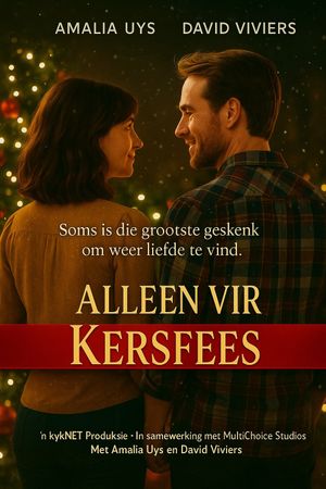 Alleen vir Kersfees's poster