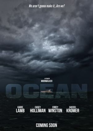 Ocean's poster