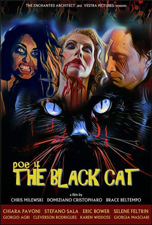POE 4: The Black Cat's poster