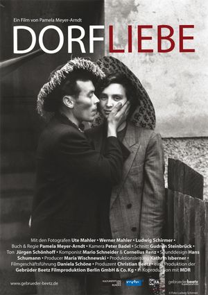 Dorfliebe's poster image