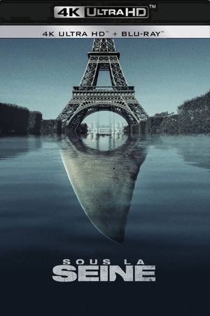 Under Paris's poster