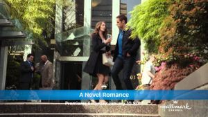 A Novel Romance's poster