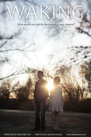 Waking's poster