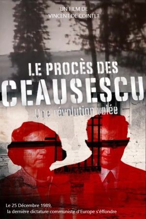 The Ceausescu Trial: A Stolen Revolution's poster