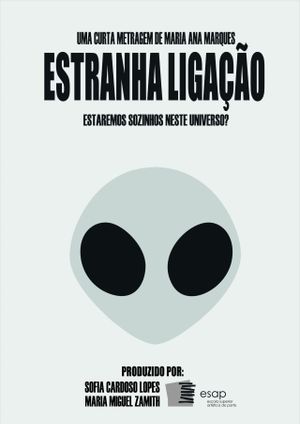 Estranha Ligação's poster