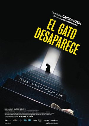 The Cat Vanishes's poster