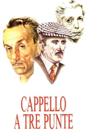 Three Cornered Hat's poster