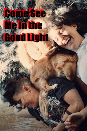 Come See Me in the Good Light's poster