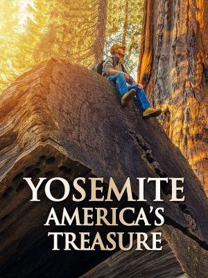 Yosemite: America's Treasure's poster