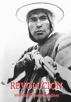 Revolution's poster image