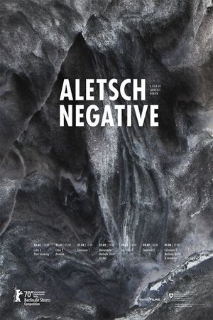 Aletsch Negative's poster