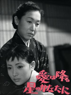 Love is Beyond the Falling Stars's poster
